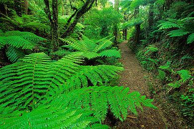 Epic喜加一：《循环英雄＆Loop Hero》免费领！